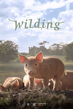 Poster for Wilding