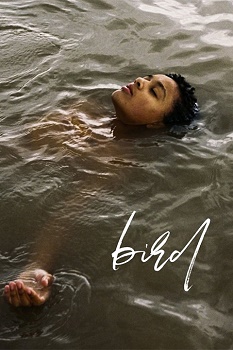 Poster for Bird